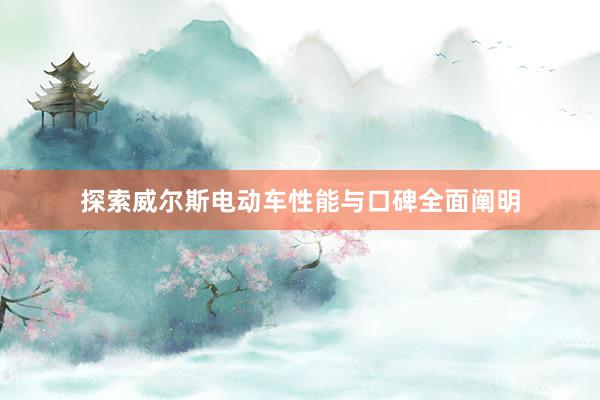 探索威尔斯电动车性能与口碑全面阐明