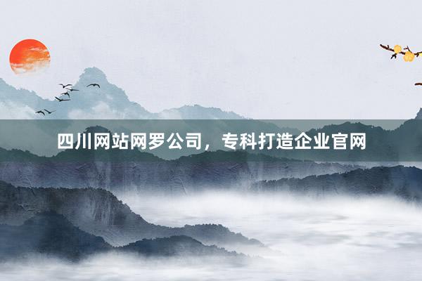 四川网站网罗公司，专科打造企业官网